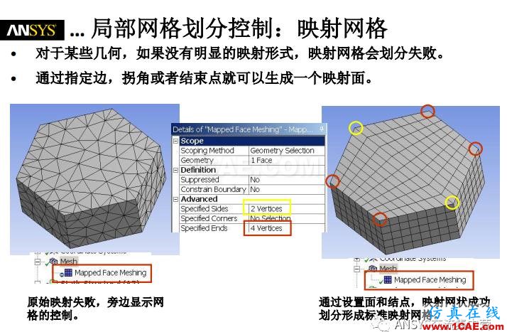 ansys技術(shù)專題之 網(wǎng)格劃分ansys培訓(xùn)的效果圖片23