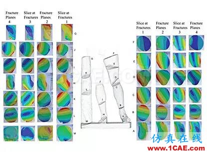 美國仿真專家首次利用ANSYS協(xié)助修復破損的雕塑ansys培訓課程圖片4