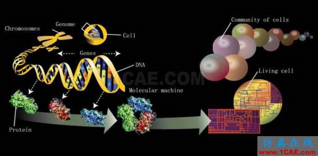 【資訊】強(qiáng)勢圍觀！Science公布的125個科學(xué)前沿問題!圖片61